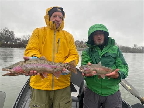 fishing report sacramento river|sacramento river steelhead fishing report.